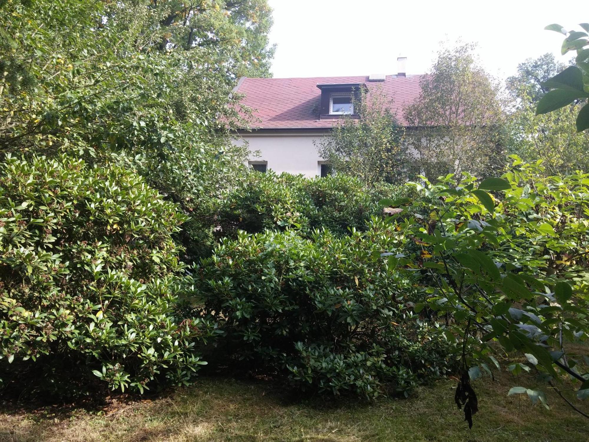 Wellness Home, Forest Getaway Villa Praga
